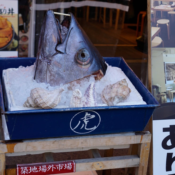  ::도쿄여행:: 스키지시장 맛집투어 세상행복함 (야마초 타마고야끼+마구로야쿠로긴)