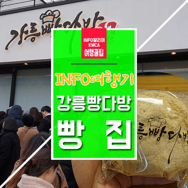  INFO여행기 강릉 빵다방 리뷰 ! 감동 그 자체 인절미빵 맛집
