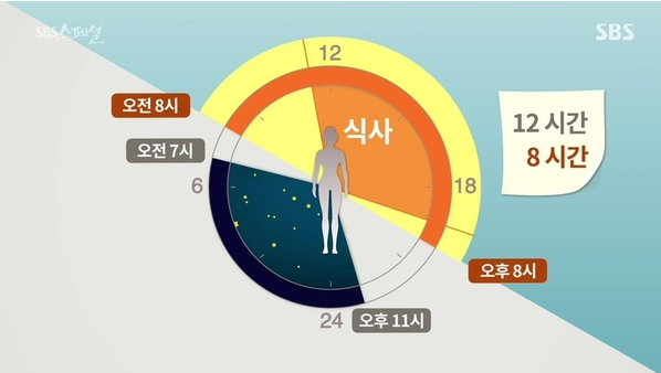  무작정 따라해본 간헐적 단식 방법
