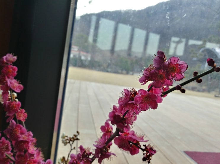  게자리 운세 2019년 4월 전반기 - 서두리지 말자