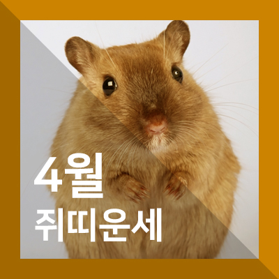  2019년 쥐띠 운세(4월) - 주저앉고 말았다!