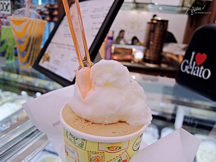  피렌체 여행 | 젤라또 맛집 Antica Gelateria Fiorentina
