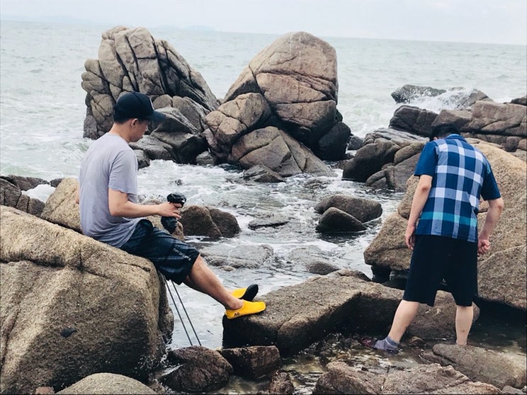  0325 넥슨지티,하츠,현대바이오,(동아화성)