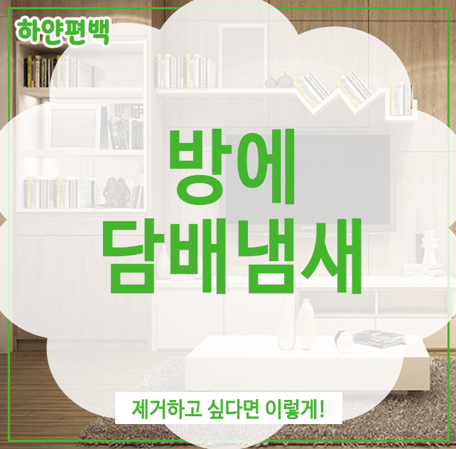  방에 담배냄새, 제거하고 싶다면 이렇게!