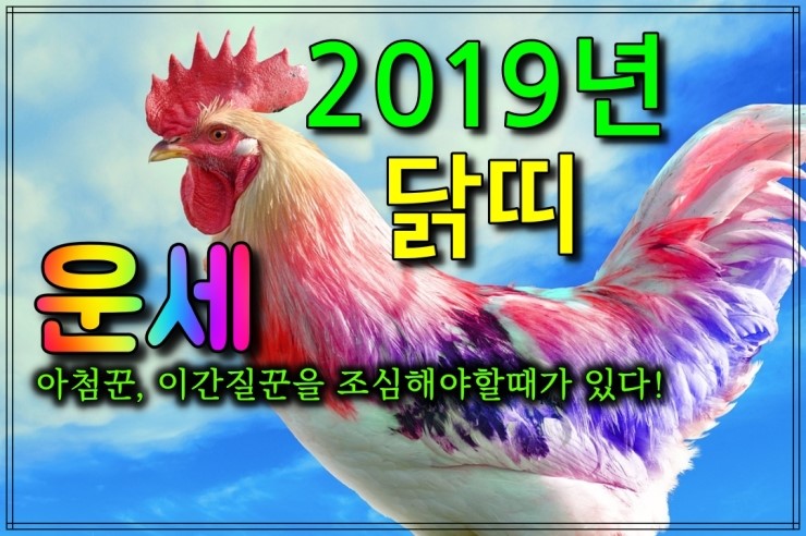 [운세]2019년닭띠운세 년간운세,월간운세 ( 결정적일때 아첨꾼, 이간질꾼의 농간에 속으면 안됩니다.)