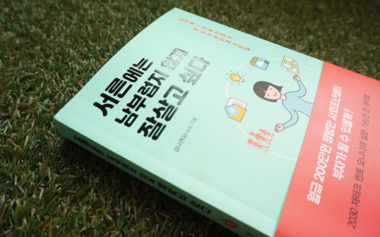  서른에는남부럽지않게살고싶다 : 요니나 재테크 책