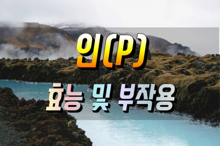  인 (P) 효능 및 부작용