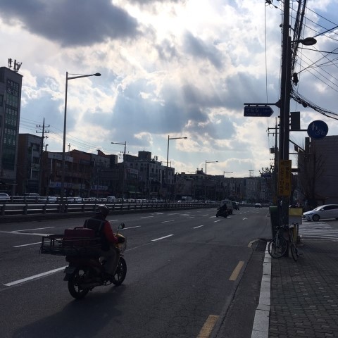  [생생정보통] 신림 신원시장 육회비빔밥 과 육회비빔면