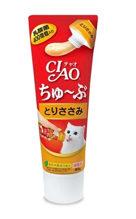  뱅갈냥이 훈련 시키기~!!