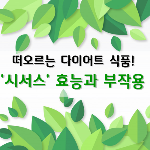  떠오르는 다이어트 식품 시서스! 지방분해 식욕조절 등 시서스 효능과 부작용 등