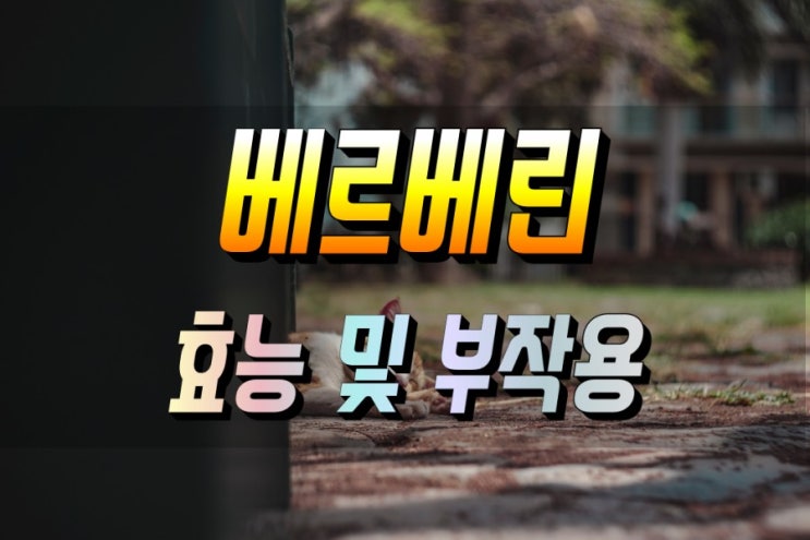  유해균을 죽이는 베르베린 효능 심층분석