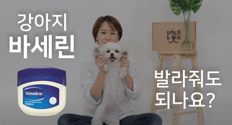  강아지, 바세린 발라줘도 되나요