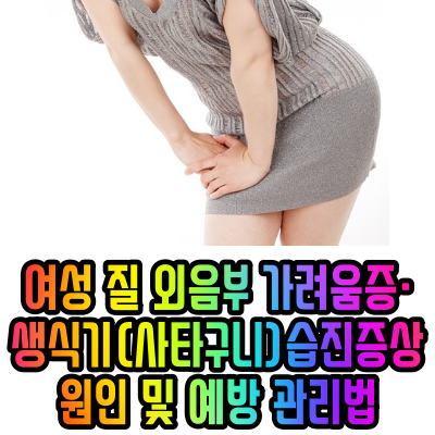  여성 질 외음부 가려움증·생식기(사타구니)습진 증상, 원인 및 예방 관리법