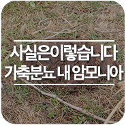  [사실은 이렇습니다.] 가축분뇨 내 암모니아 저감 위한 다각적 지원 추진 중 - TV조선(3.23) 보도 관련 설명 -