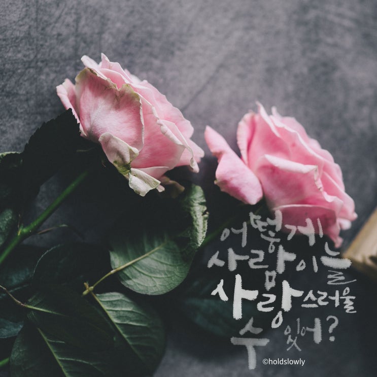  [독서] 죽고 싶지만 떡볶이는 먹고 싶어_치부를 드러내는 용기