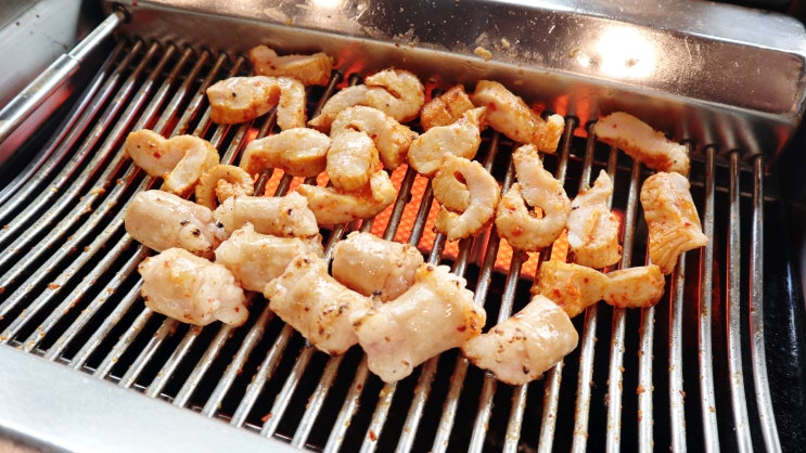  수원 매탄동 양대창 맛집 / 영통구청 회식장소 :: 양고을