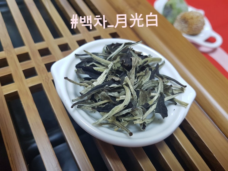  [백차] 다 함께 차차차, 오늘은 너야 너