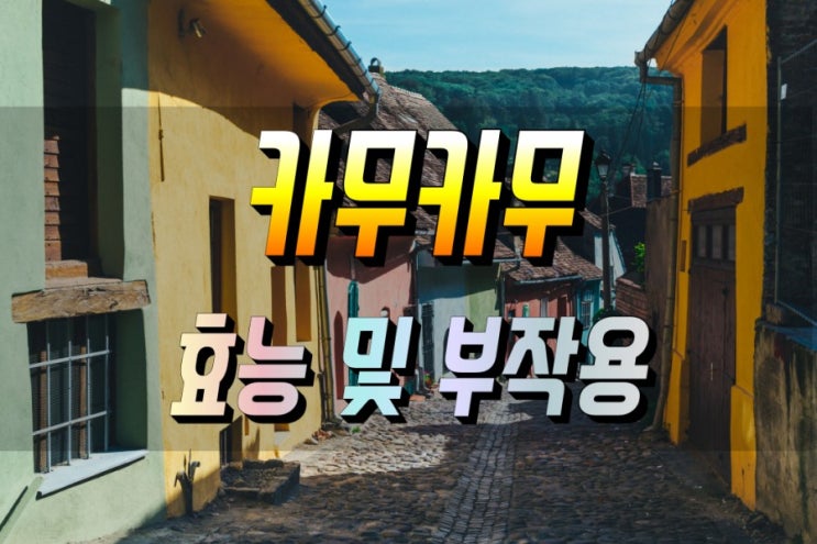  카무카무의 효능 및 부작용_먹는법