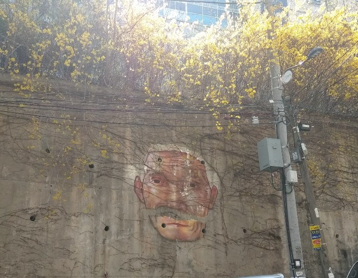  (장전동 풍경) 할아버지 노란 머리