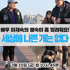  배우 하재숙의 반려견, 행숙이 좀 말려줘요! - EBS <세상에 나쁜 개는 없다>