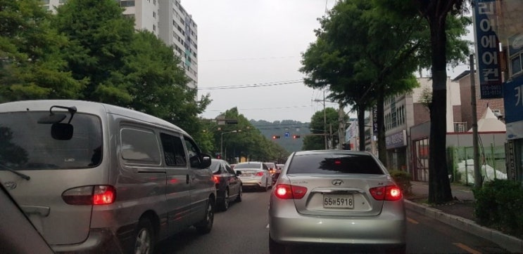  꽃놀이 하기 좋은 날씨에 익산운전연수 배우기 좋은 조건