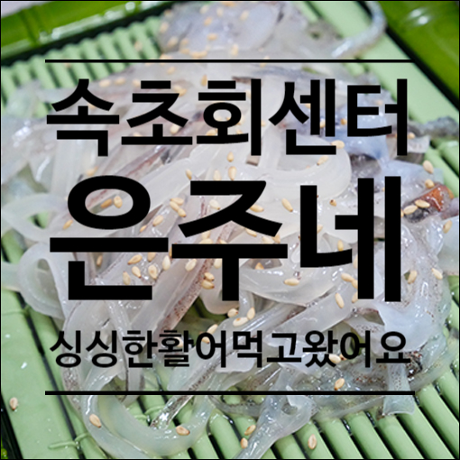  속초 대포항 회센터 은주네 돌고돌아 여기