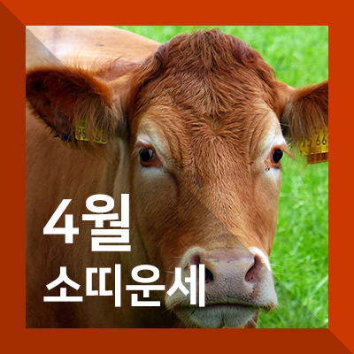  2019년 소띠운세(4월) - 그걸 못 기다려?