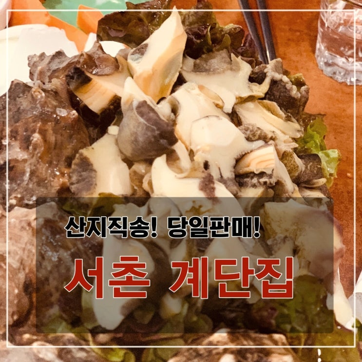 [맛집] 서촌 계단집 - 산지 직송! 당일 판매! 싱싱한 해산물이 가득!