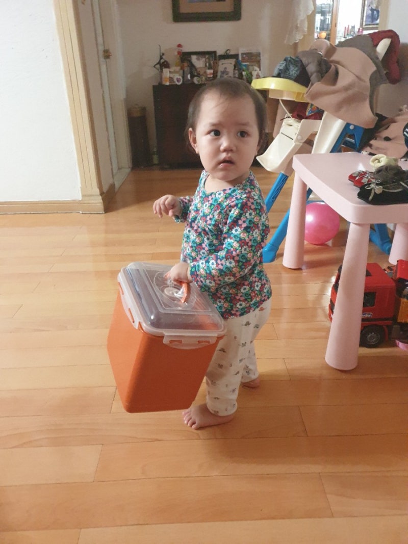 고추장담그기 / 절대 실패하지 않는 안동제비원 고추장 담그기 키트 /5분고추장/고추장담그....