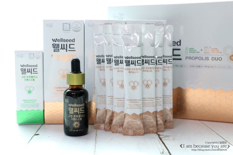  교원더오름 웰씨드 프로폴리스 듀오 접하며 유해환경에 맞설래