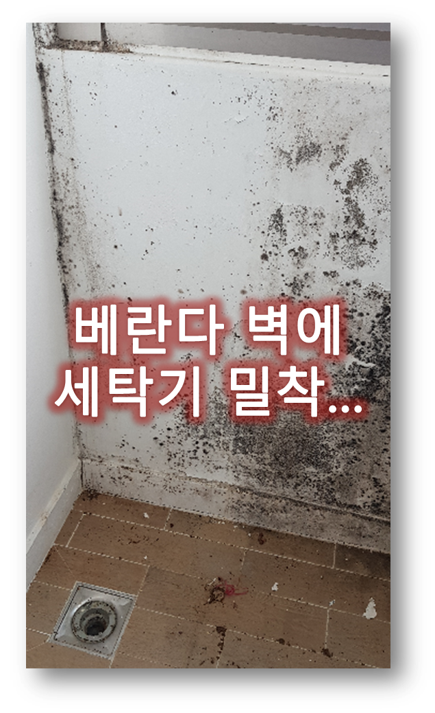  베란다벽에 세탁기, 김치냉장고 붙여 놓으면 곰팡이 핍니다_경기도 파주시 운정 신도시 아파트 베란다 곰팡이 제거, 세탁실 곰팡이 제거 후 곰팡이방지 단열페인트 가이나 시공