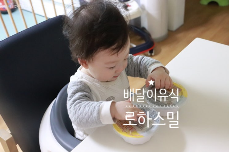 만 9개월 아기 배달이유식 : 로하스밀 후기이유식 후기 !