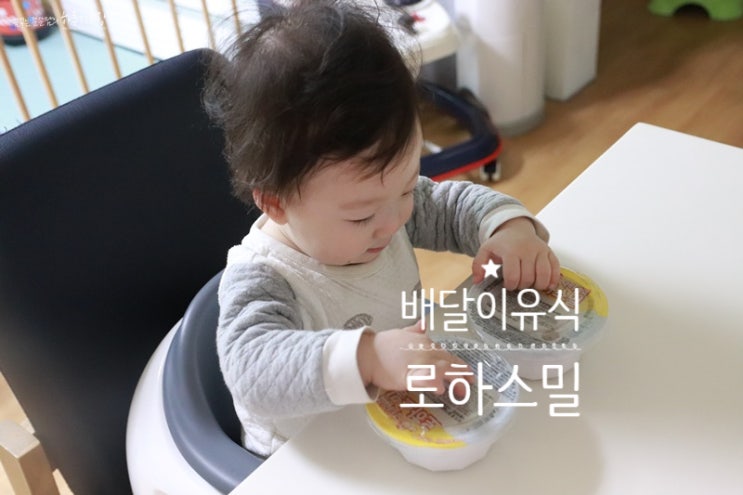  만 9개월 아기 배달이유식 : 로하스밀 후기이유식 후기 !