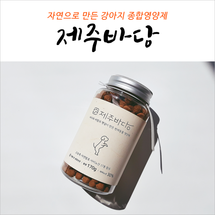 강아지 관절에 좋은 음식 애견종합영양제 제주바당