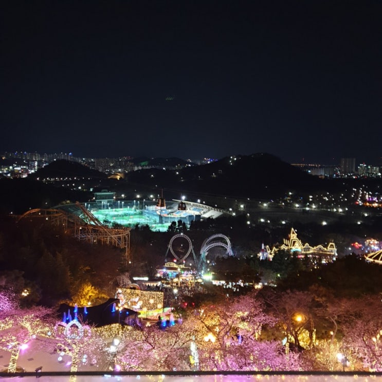  [대구 이월드] 벚꽃축제 시작! 별빛 벚꽃 축제 개막식에 가다.