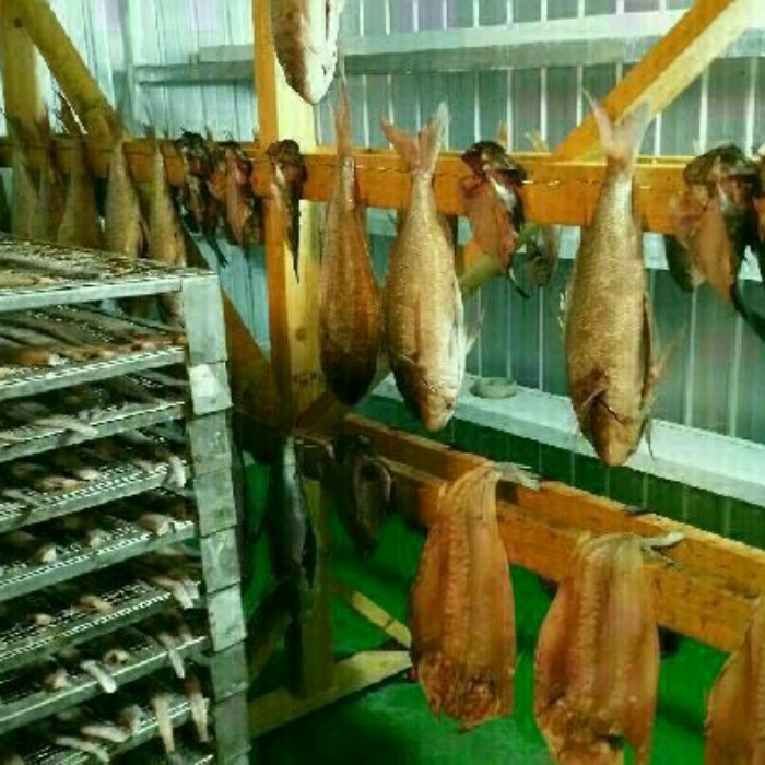  번개장터 반건조생선/자연산/돔/우럭/삼치/가자미/서대/아귀/조기/삼백이/물고기