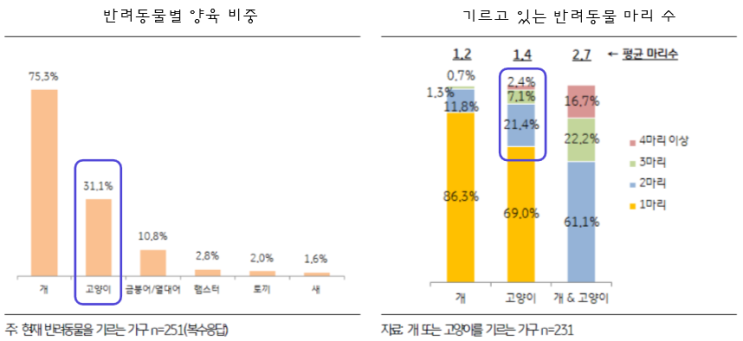  [보험소개] 메리츠 페퍼민트 cat출시 (고양이보험 출시)