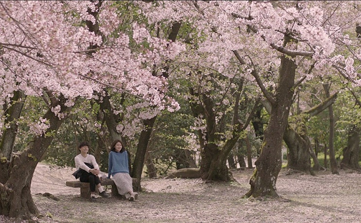 영화  『  막다른 골목의 추억 』 デッドエンドの思い出 , Memories of a Dead End - 최현영, 2018 