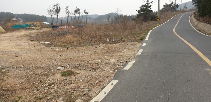  백령도 진촌리 (전) 5,900 【고봉포 인근 나지】 / 바닷가토지매매