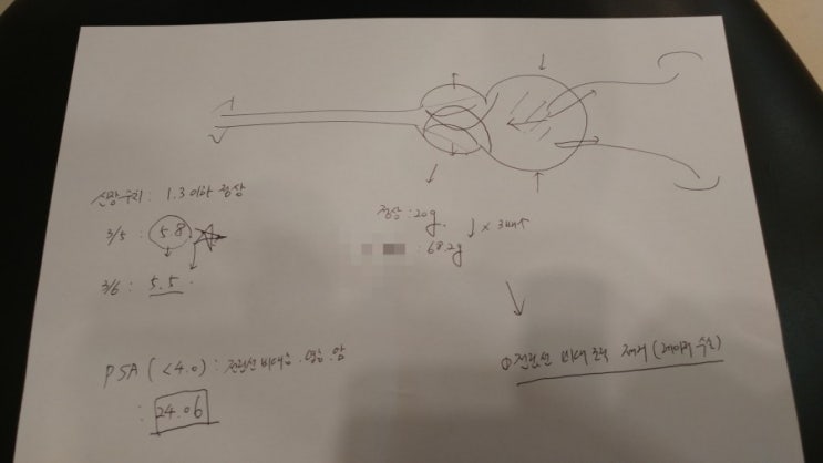  전립선 비대증→전립선암→수술비용  순천향대학교부천병원