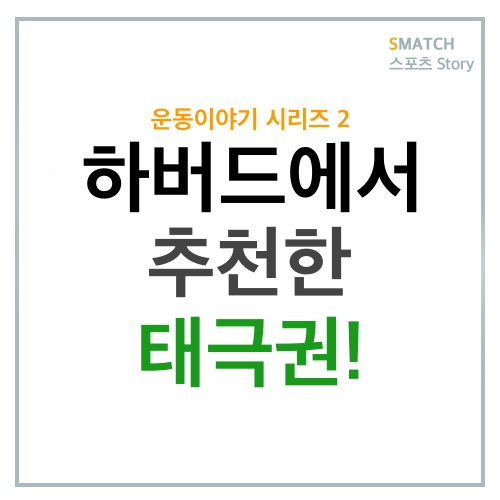  하버드에서 추천한 건강 운동 태극권!