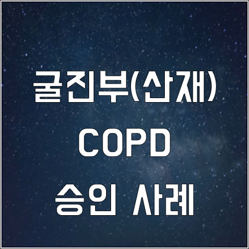  광업소 근무 굴진부 만성폐쇄성폐질환 산재 승인 사례