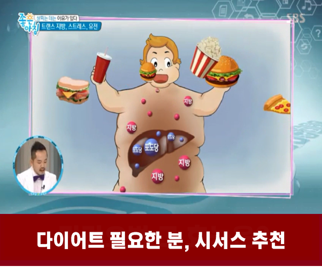  다이어트가 필요한 분, 시서스 추천합니다