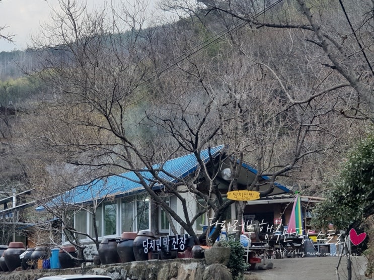  지리산 피아골 계곡 펜션 산닭구이와 건강한 밥상