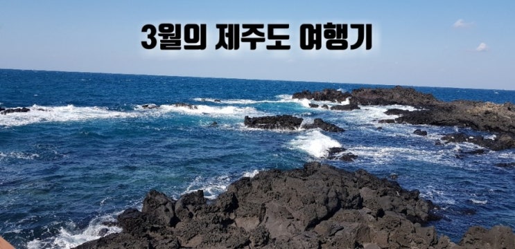  3월의 제주도 여행기(유빈전복,제주보쌈,쉼표,다프네)