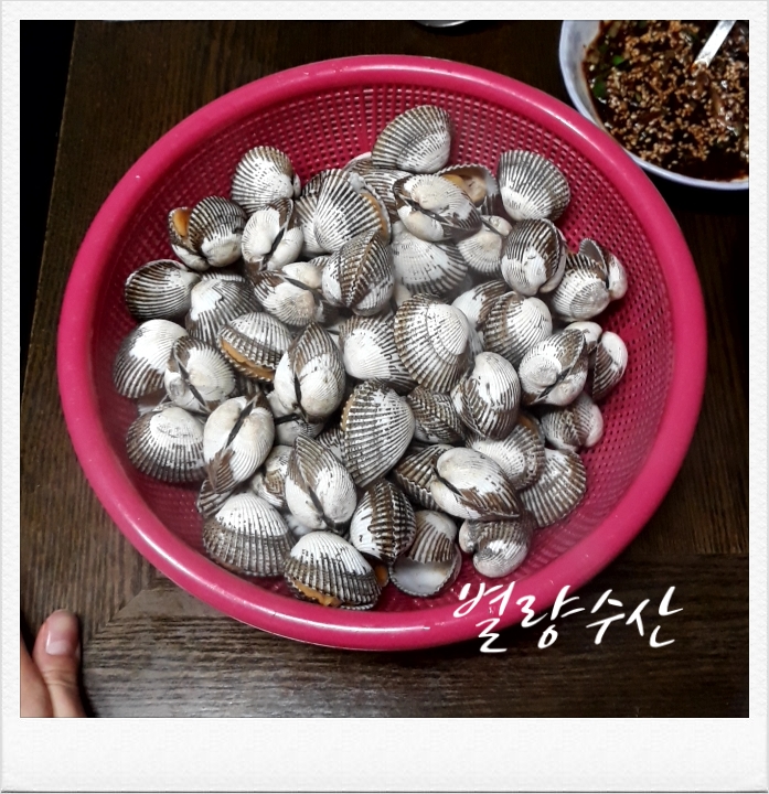  [꼬막 파는곳] 순천별량수산 벌교새꼬막 너무 맛있음 구매의사 100%