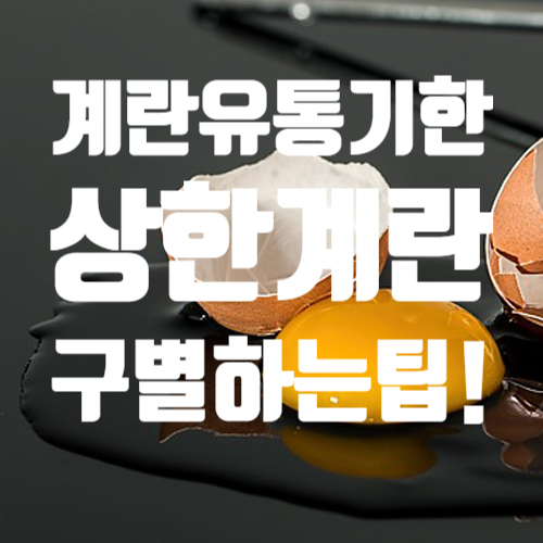  계란상했는지 확인하고 먹자.