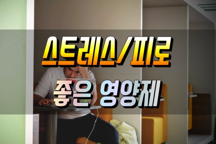  피로 및 스트레스에 좋은 영양제 BEST 3