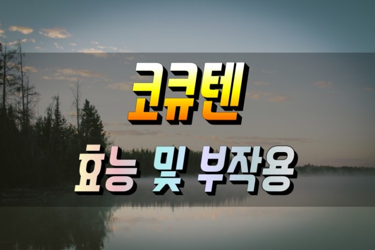  코큐텐 코엔자임큐텐 coQ10 효능 및 부작용 먹는법