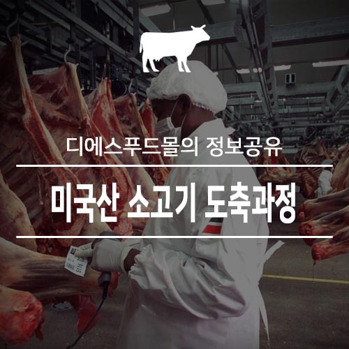 [디에스푸드몰의 정보공유]미국산 소고기 도축과정